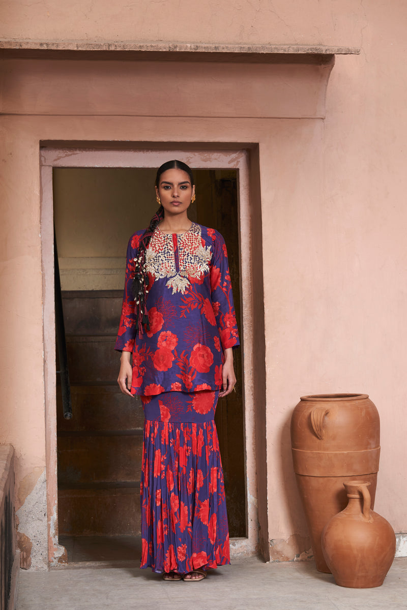 Red & Blue Moroccan Yoke Zardozi Sharara